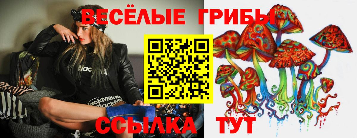 Галлюциногенные грибы Psilocybine cubensis  Вход с VPN  Иваново 