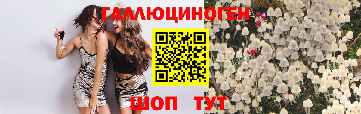Галлюциногенные грибы прущие грибы Иваново